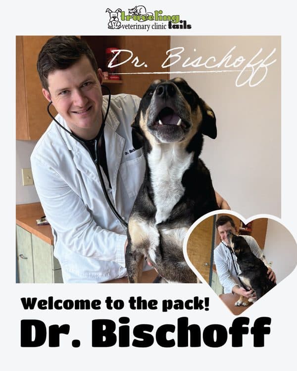 Dr. Alex Bischoff, DVM
