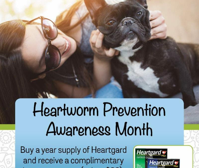 Heartworm Pup Prevention Special