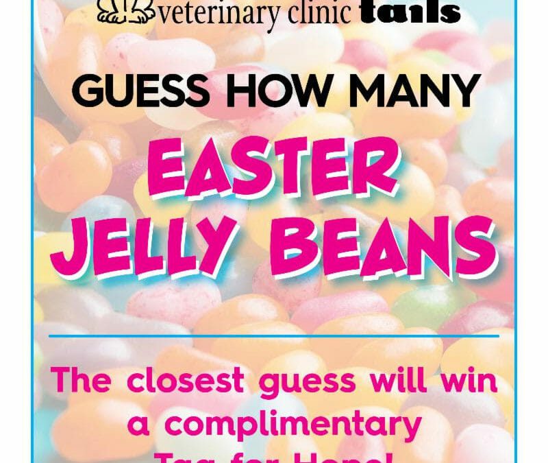 Guess How Many Easter Jelly Beans Contest