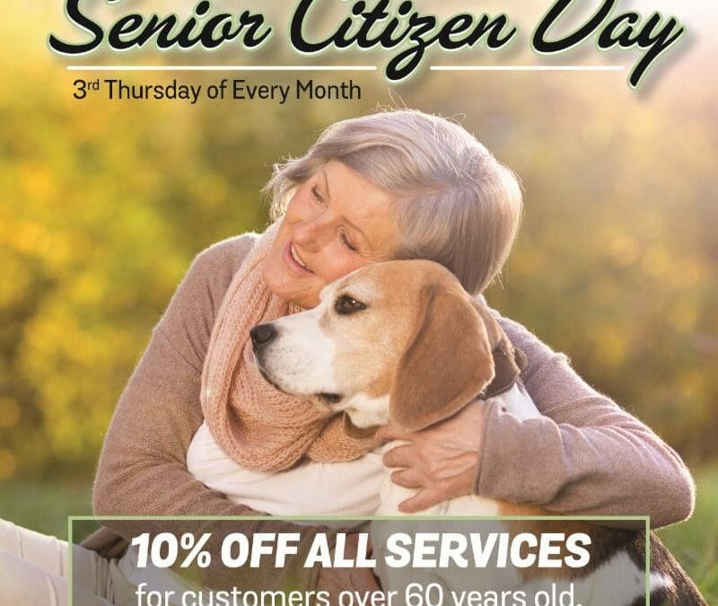 Senior Citizen Day