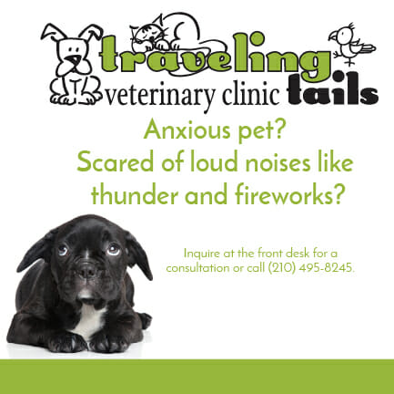 Does your pet have anxiety?