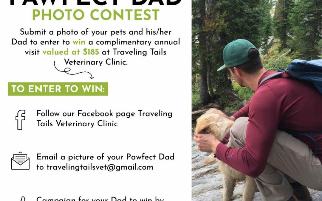 Pawfect Dad Photo Contest