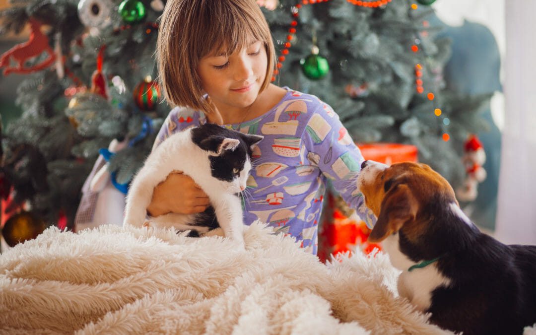 The Best Pet Christmas Gifts of 2021